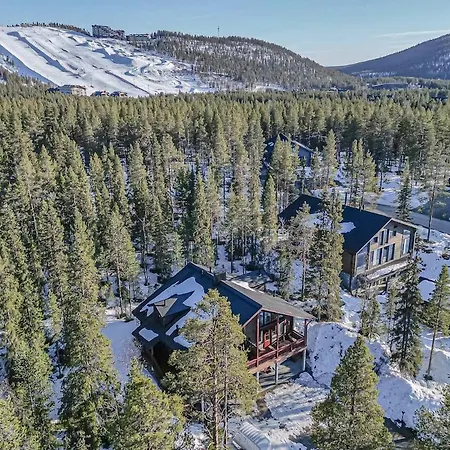 Bear Den By Hilla レヴィ