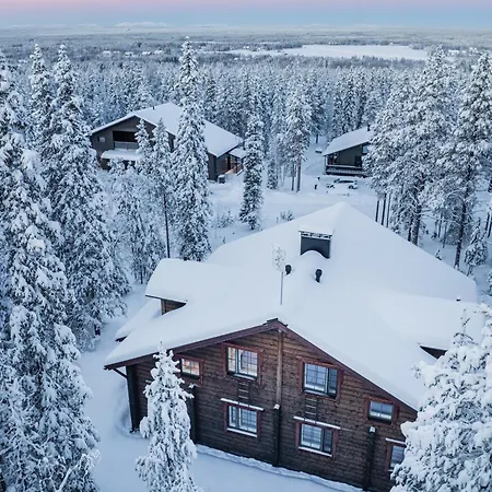 Bear Den By Hilla * לוי