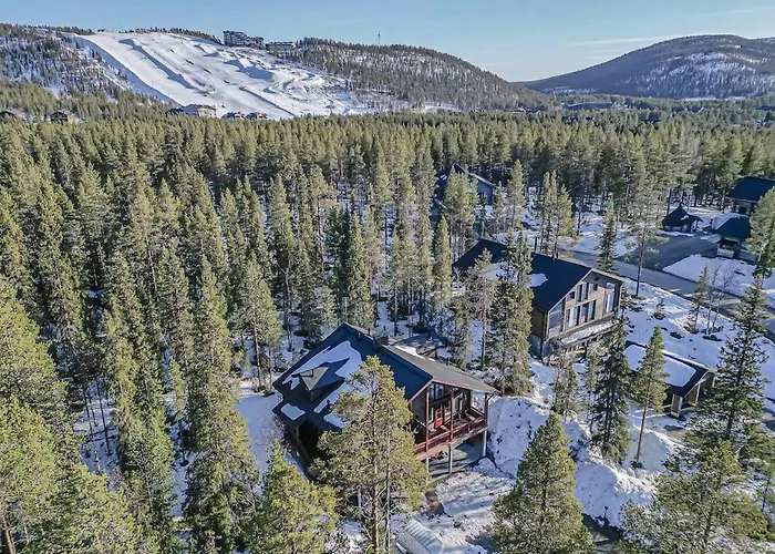 Bear Den By Hilla Levi