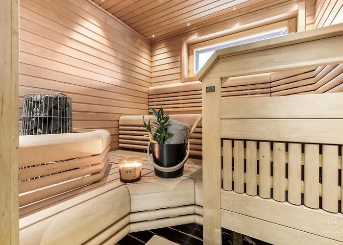 Bear Den By Hilla Levi